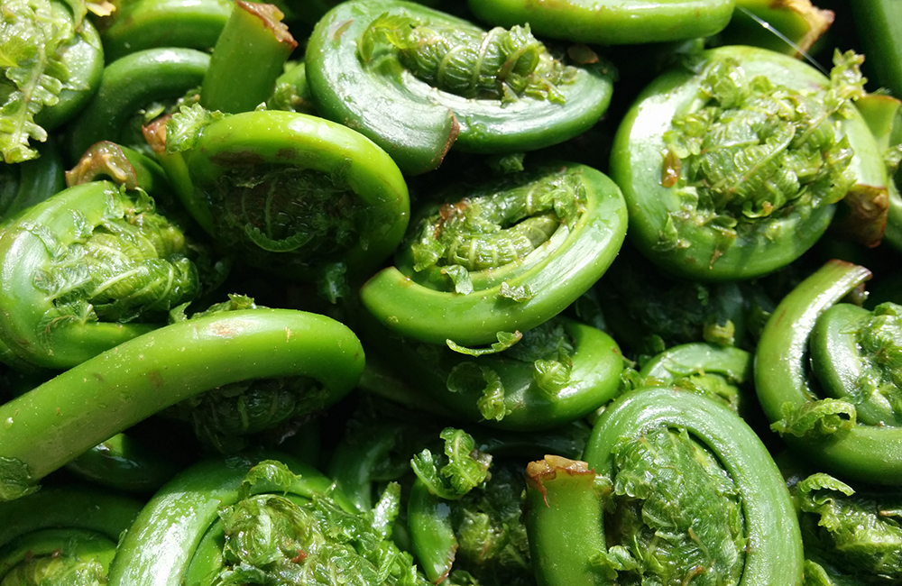 Vegetables