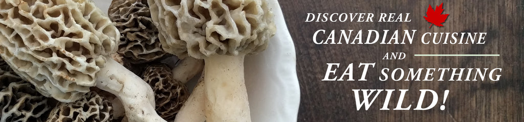 Discover real Canadian cuisine and eat something wild Forbes Wild Foods header