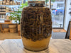 Oilio of conifer