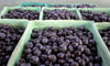 Wild Blueberry Compote - Forbes Wild Foods