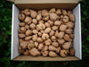 Heartnut - Forbes Wild Foods