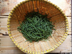 Sea Asparagus