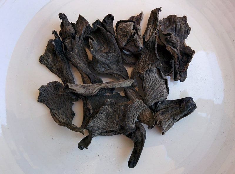 Black Trumpet Mushrooms - Forbes Wild Foods