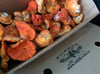 Lobster Mushroom - Forbes Wild Foods