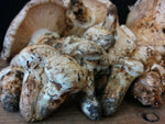 Matsutake (Pine) Mushrooms - Forbes Wild Foods