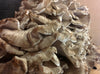 hen of the woods