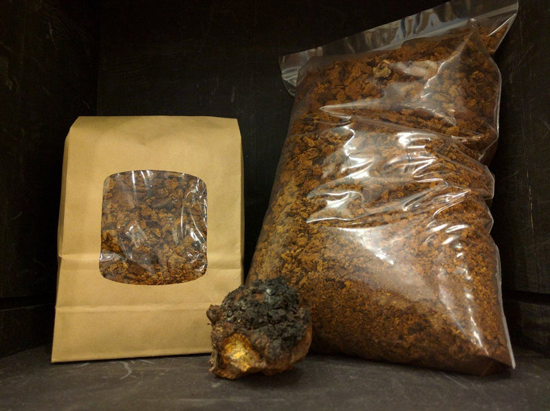 Chaga Pieces - Forbes Wild Foods