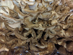 Close up hen of the woods