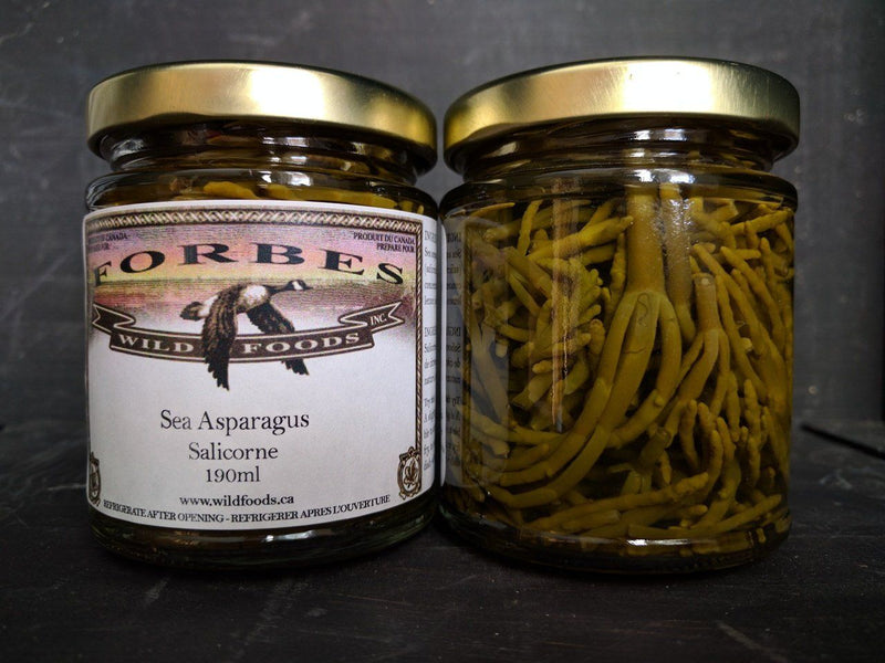 Sea Asparagus - Salicornia - Forbes Wild Foods