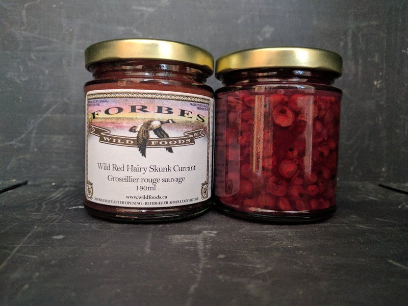 Red Hairy Skunk Currant - Forbes Wild Foods