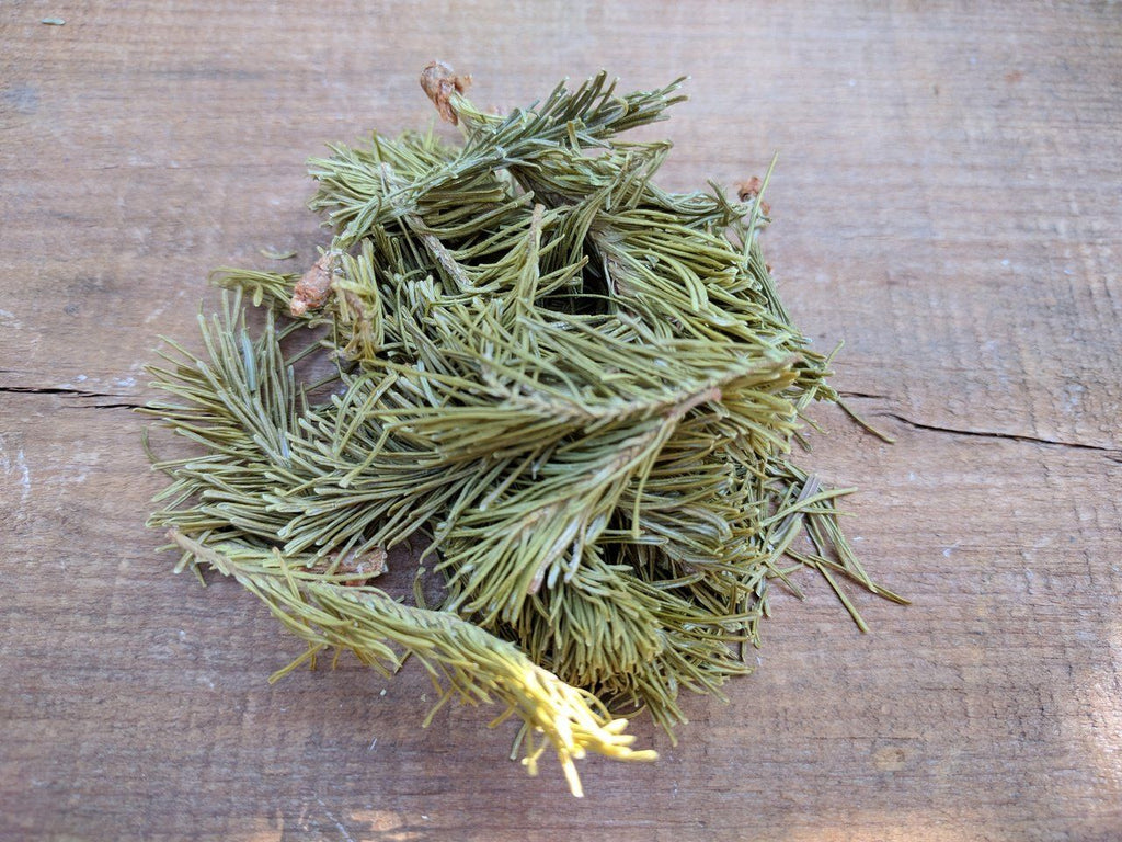 Dried Balsam - Forbes Wild Foods