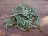 Dried Cedar Leaf - Forbes Wild Foods