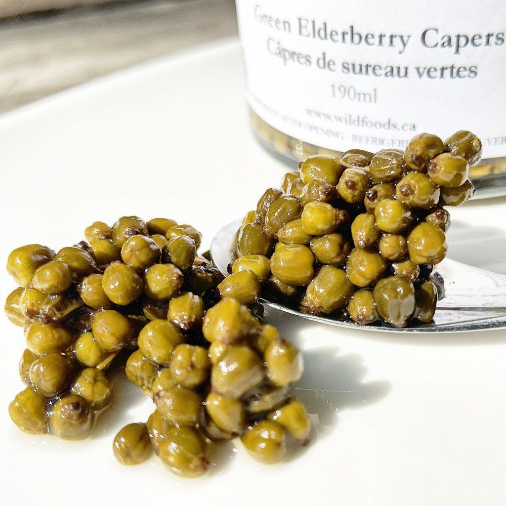 Green Elderberry Capers - Forbes Wild Foods