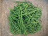 samphire