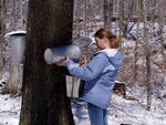 Organic Amber Maple Syrup - Forbes Wild Foods