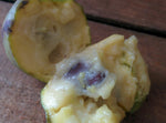 Fresh Pawpaw - Forbes Wild Foods