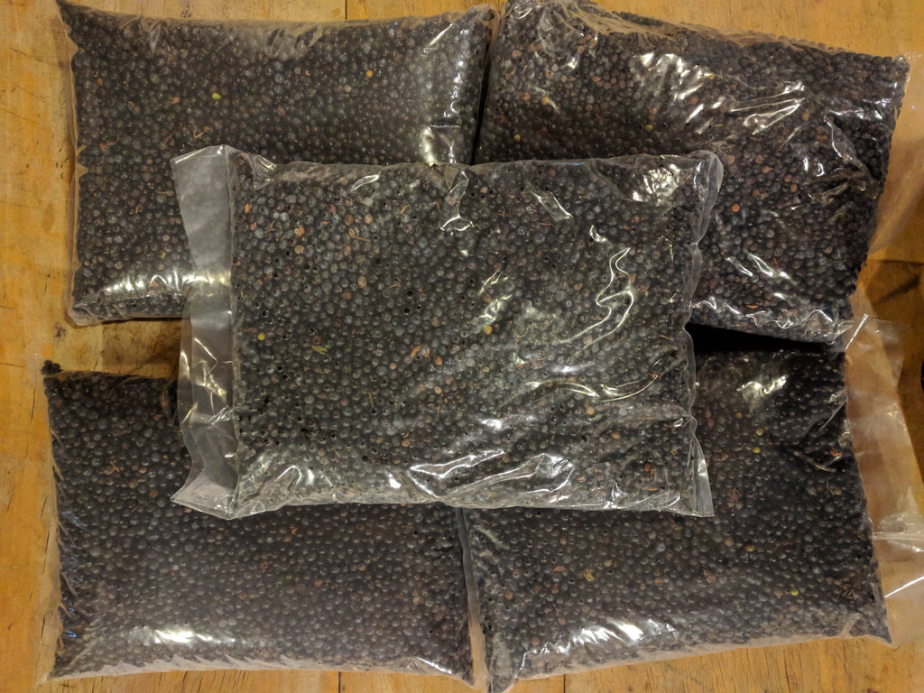 Juniper Berries - Forbes Wild Foods