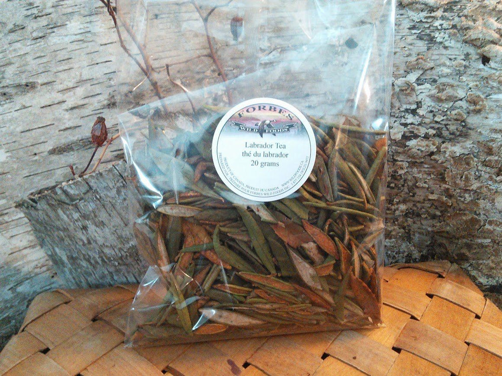 Labrador Tea with flowers - Forbes Wild Foods