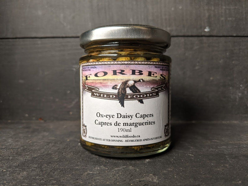Ox-Eye Daisy Capers - Forbes Wild Foods
