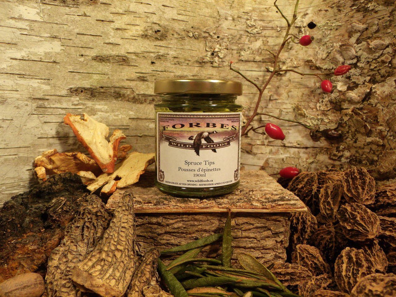 Spruce Tips - Forbes Wild Foods