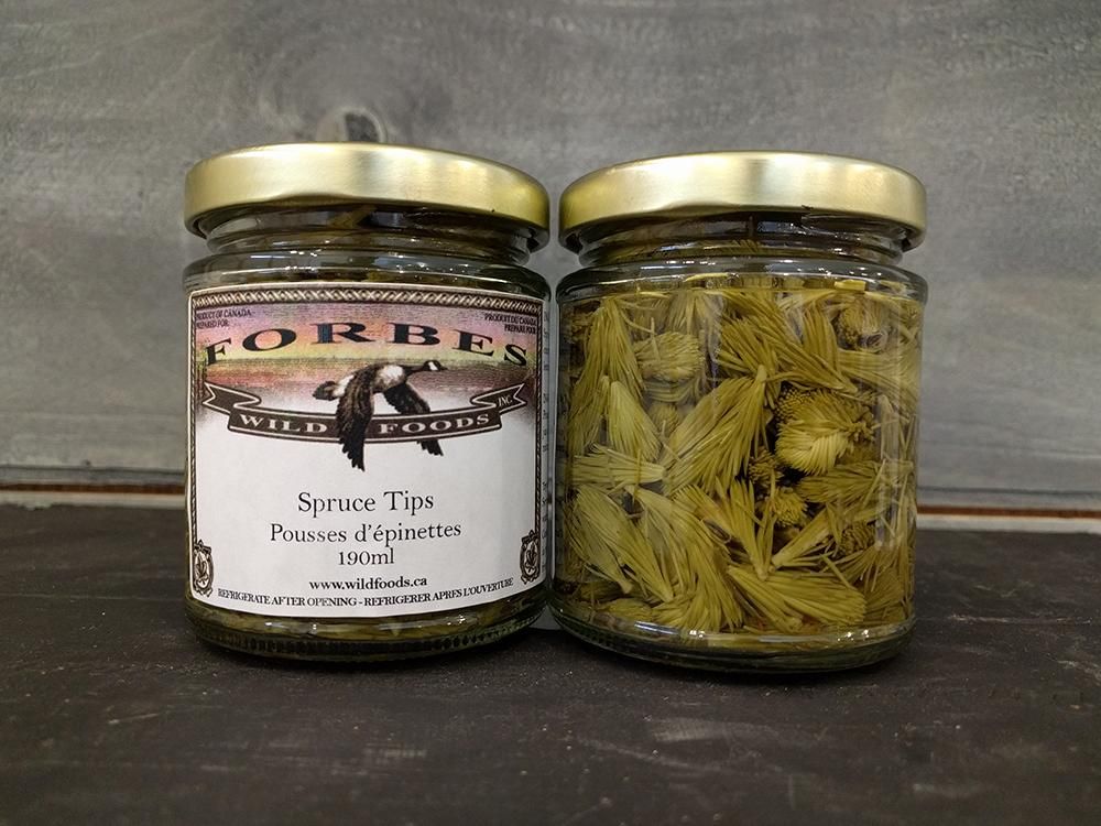 Spruce Tips - Forbes Wild Foods