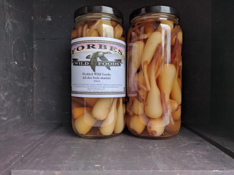 Pickled Wild Leeks - Forbes Wild Foods